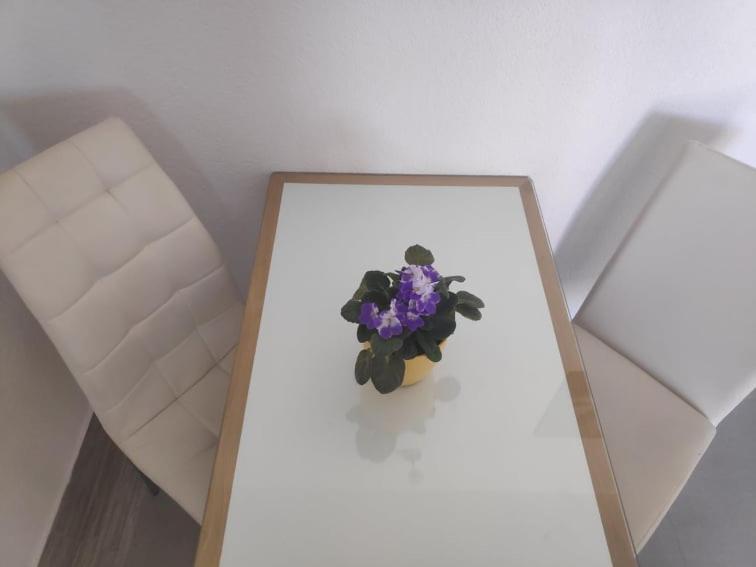 Apartmani Lucica 耶泽拉 外观 照片