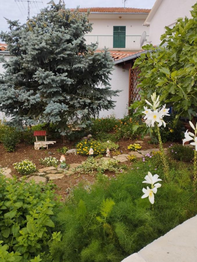 Apartmani Lucica 耶泽拉 外观 照片
