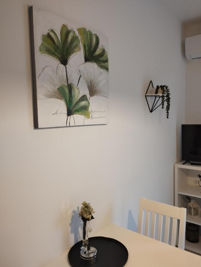 Apartmani Lucica 耶泽拉 外观 照片