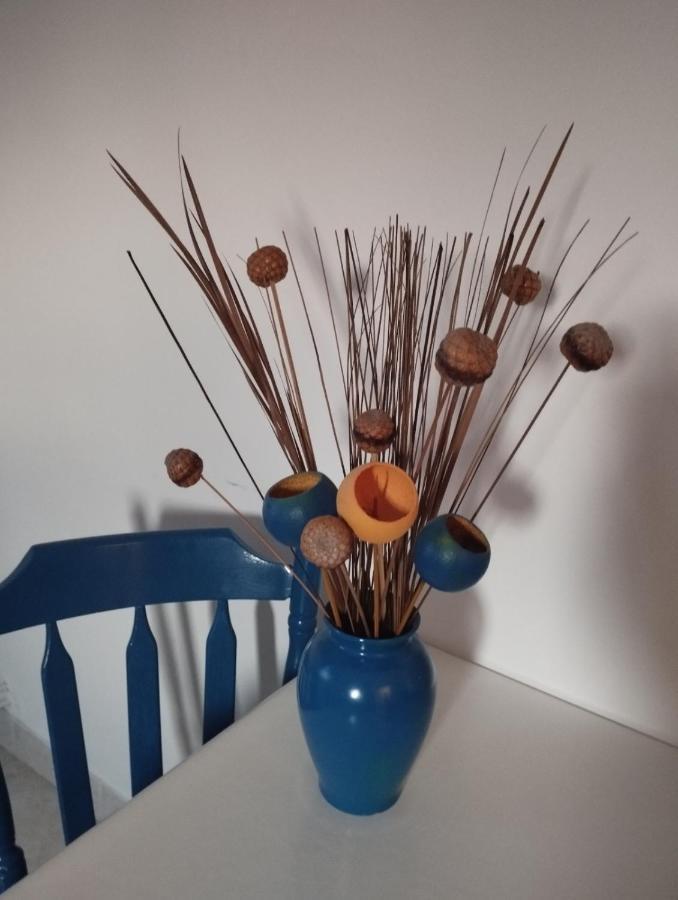 Apartmani Lucica 耶泽拉 外观 照片